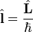 \hat{\bold{l}}=\frac{\hat{\bold{L}}}{\hbar}